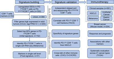 Tumor-Infiltrating PD-1hiCD8+-T-Cell Signature as an Effective Biomarker for Immune Checkpoint Inhibitor Therapy Response Across Multiple Cancers